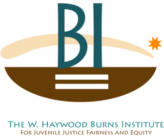 The W. Haywood Burns Institute The W. Haywood Burns Institute